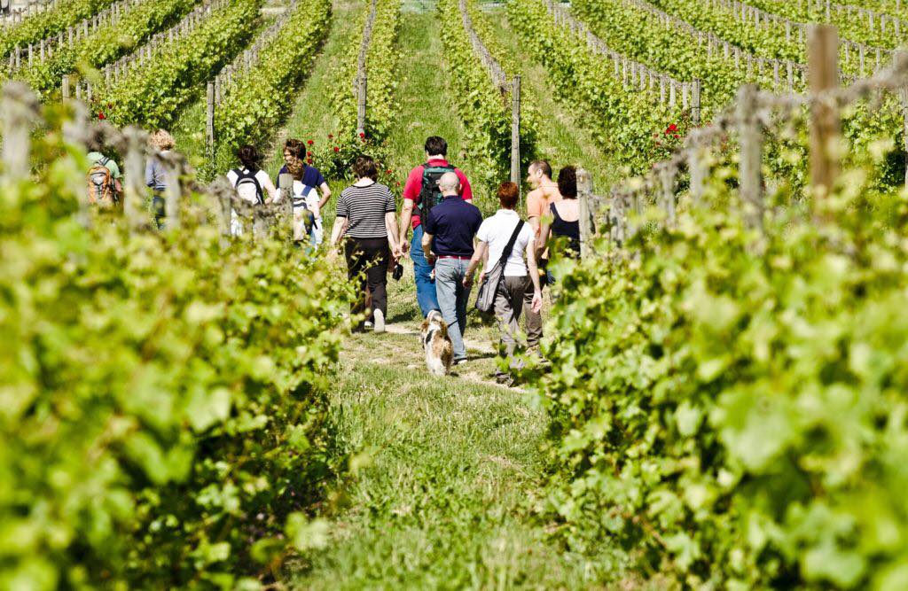 Festival del Cammino - Franciacorta