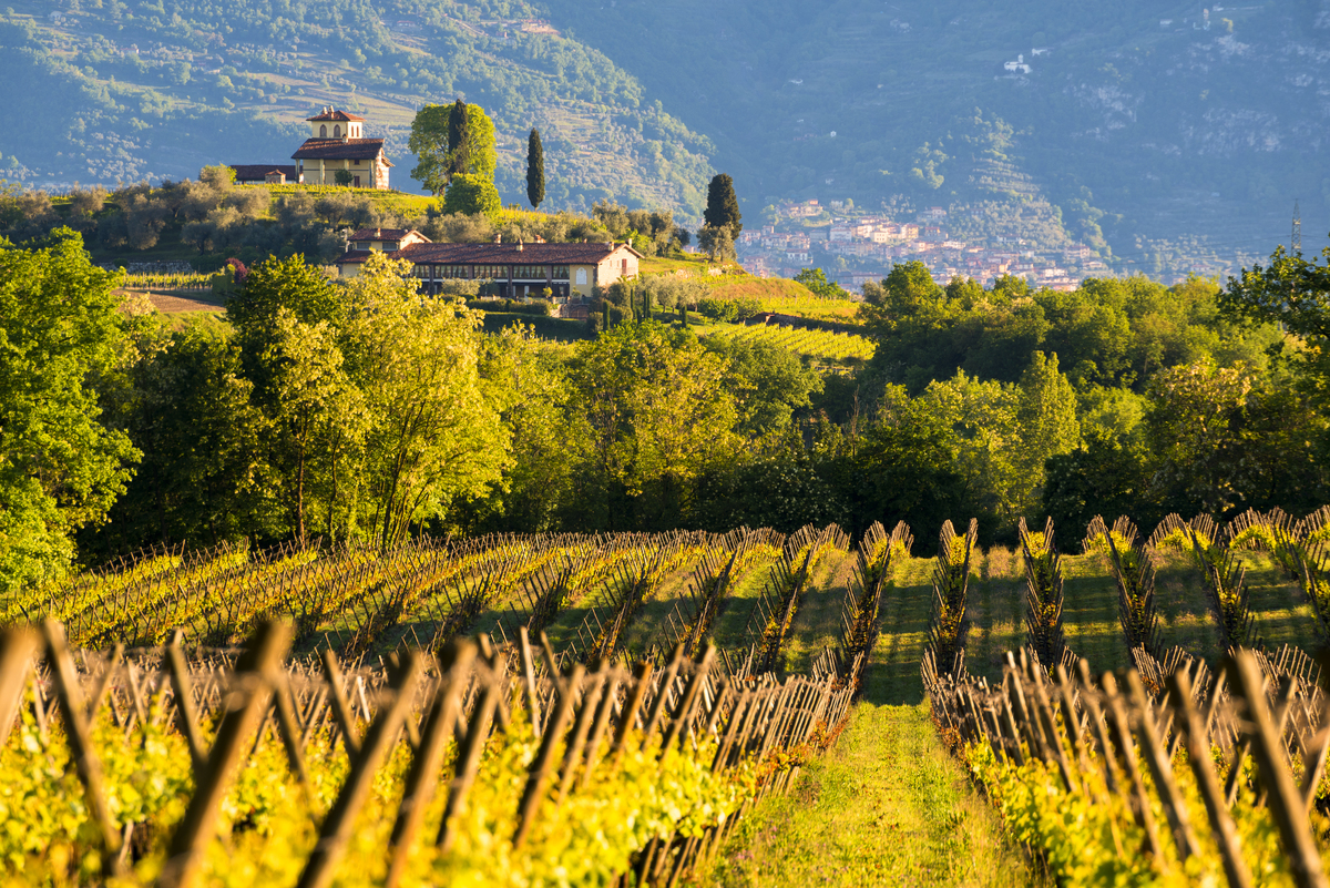 Franciacorta in autunno