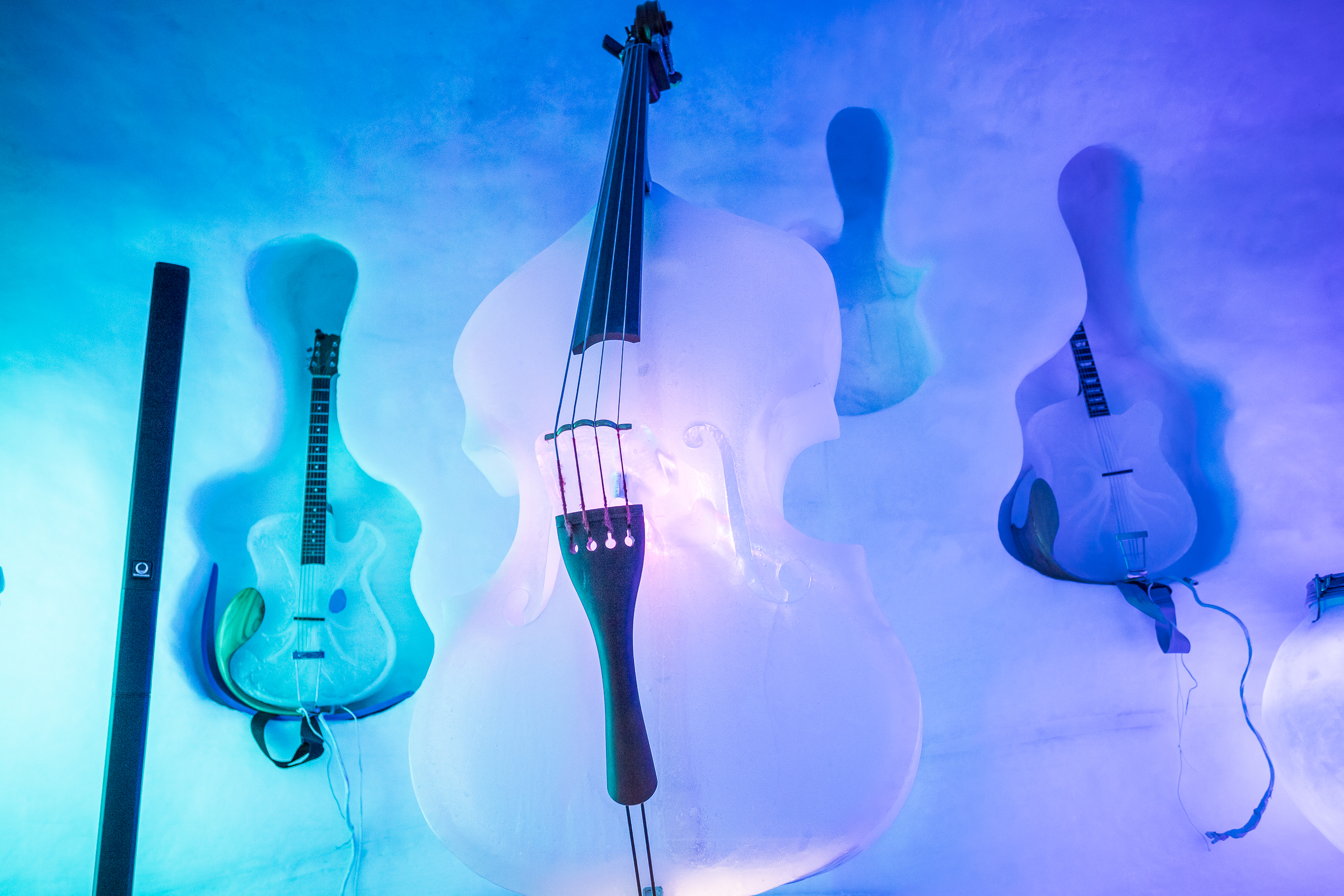 Paradice Music - dettagli strumenti