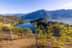 Valle dei Segni Wine Trail 2