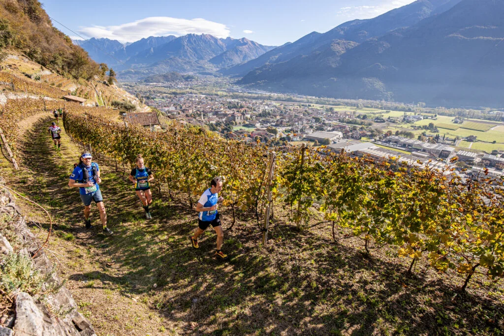 Valle dei Segni Wine Trail