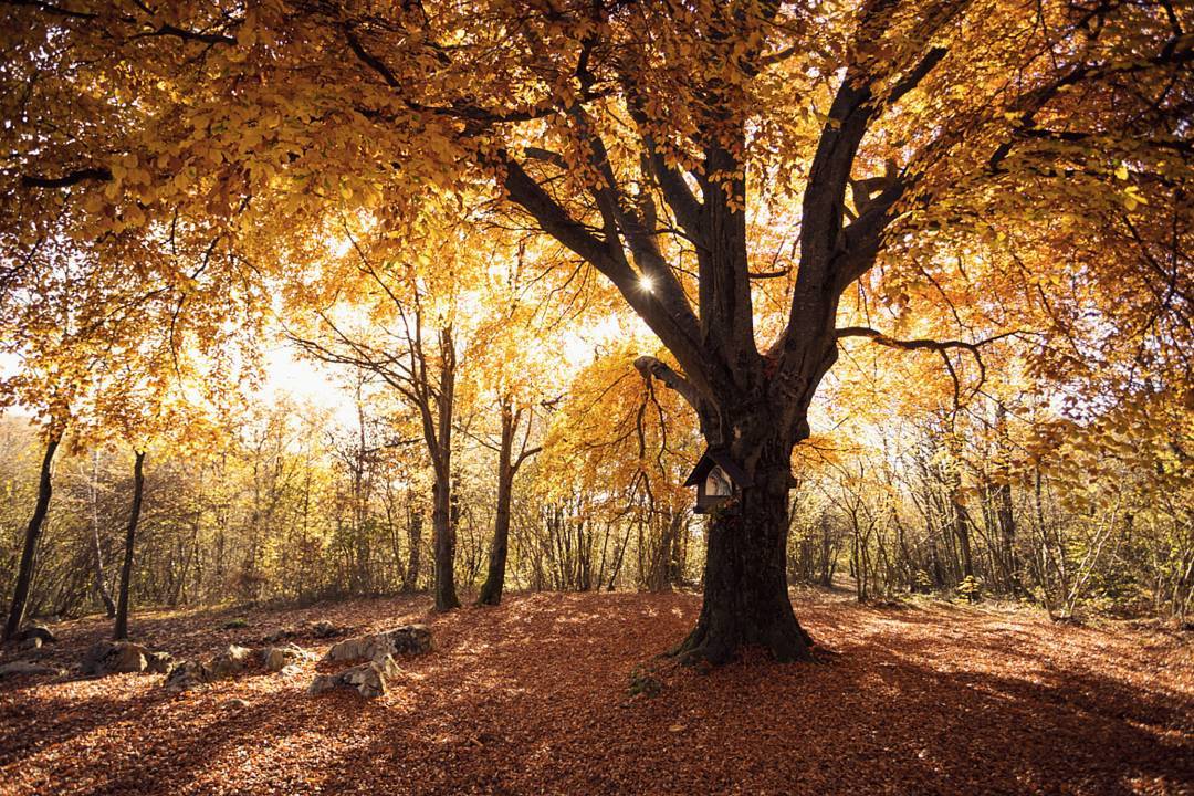 Altopiano di Cariadeghe in autunno