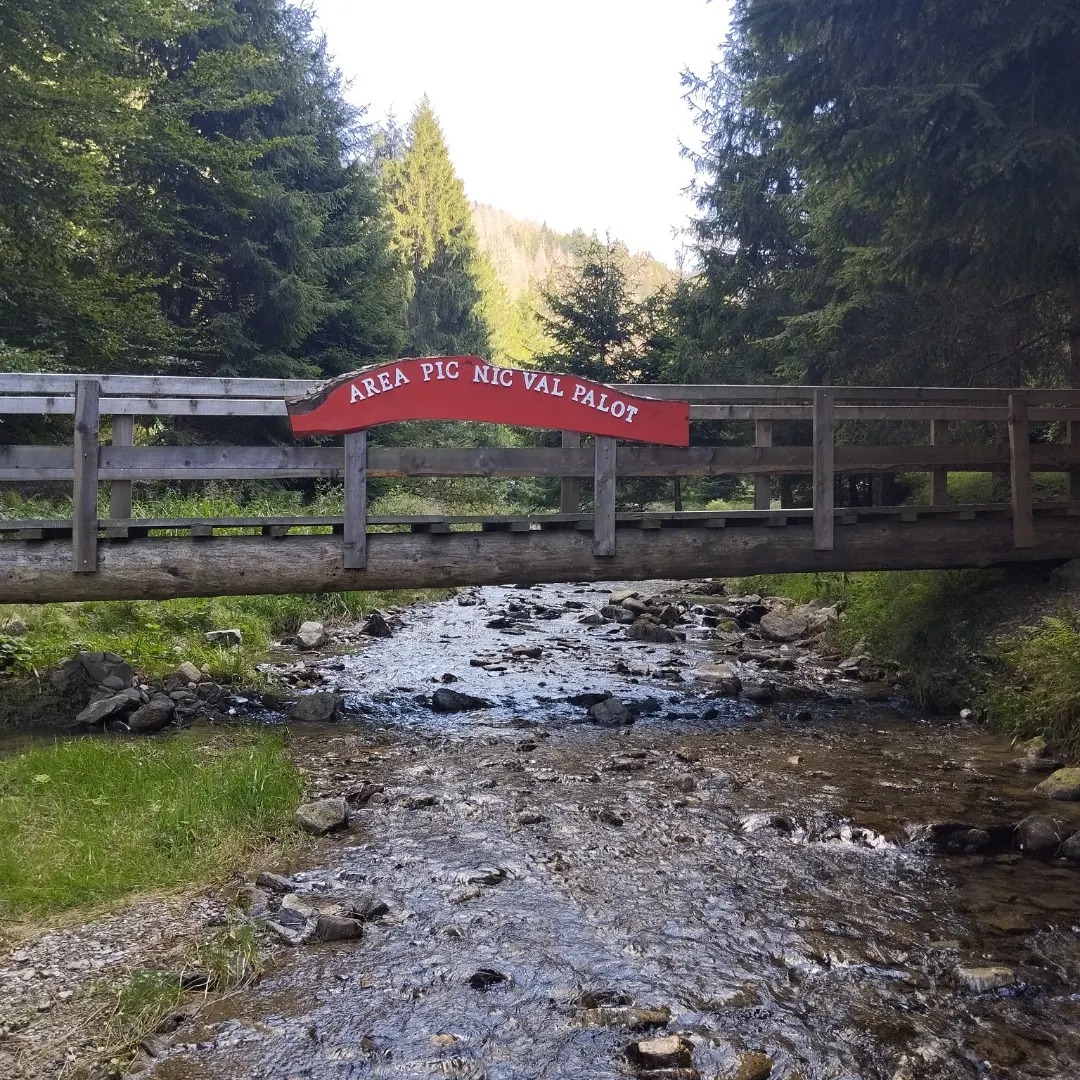 area picnic val palot