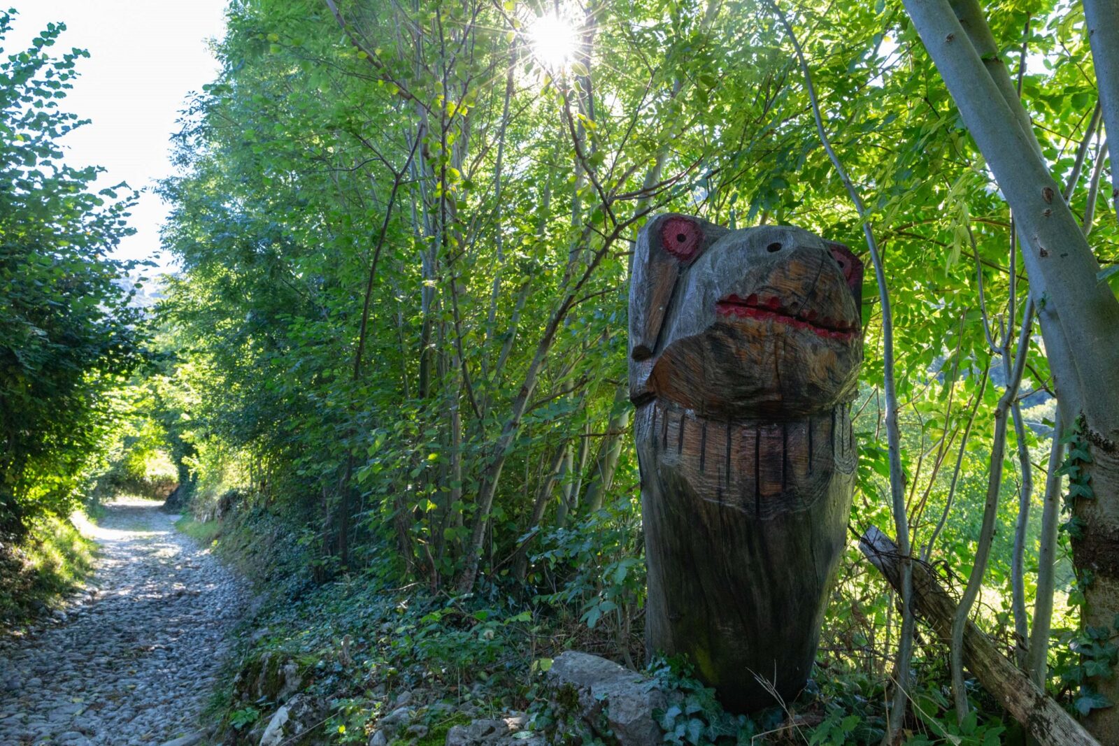 Bosco degli Gnomi