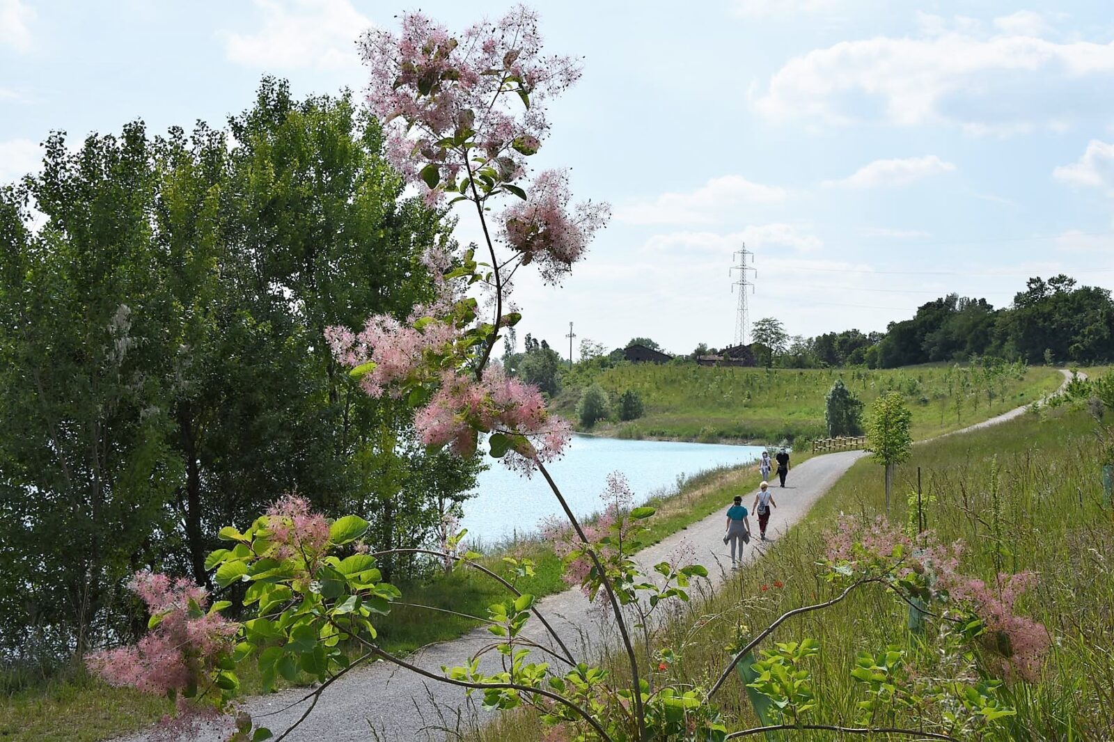 Parco delle Cave durante la fase 2 per l'emergenza coronavirus - covid19
Brescia 5 maggio 2020 Ph Christian Penocchio
