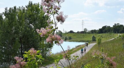 Parco delle Cave durante la fase 2 per l'emergenza coronavirus - covid19
Brescia 5 maggio 2020 Ph Christian Penocchio