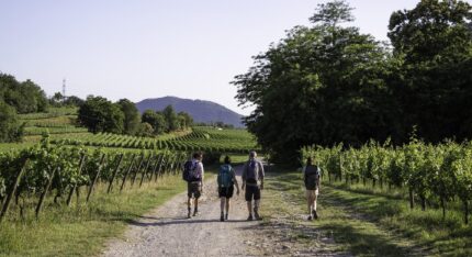 Tra laghi, valli e antichi borghi: cammini e ciclovie a Brescia e provincia