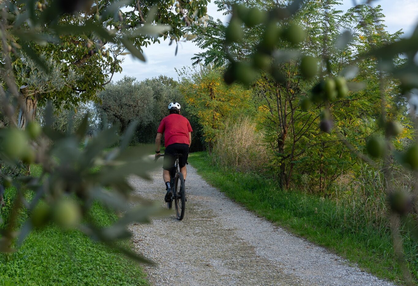 In bici sul lago di Garda, Manerba e Valtènesi _ Ph Nicola Amadini