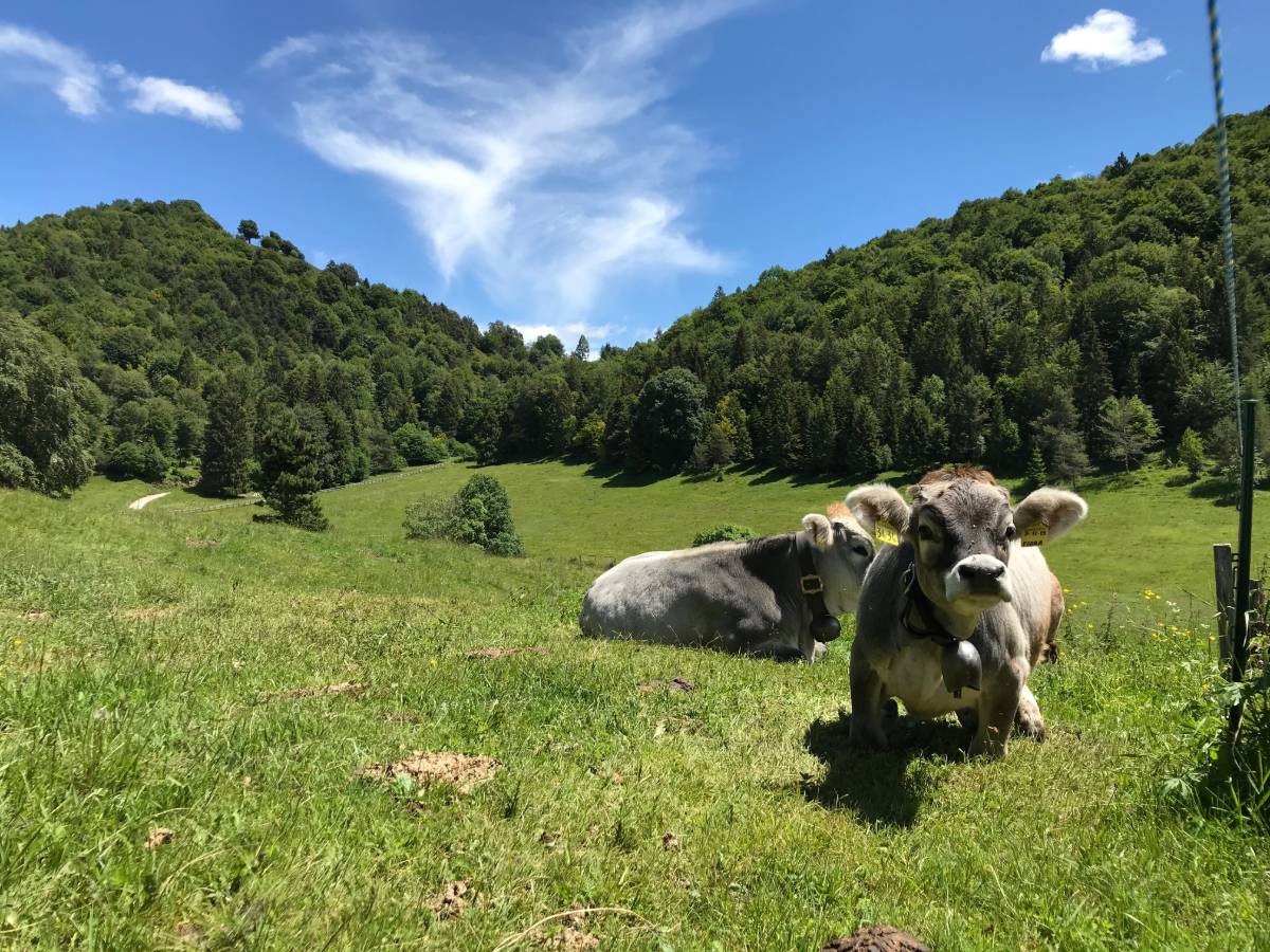 escursioni guidate tremosine