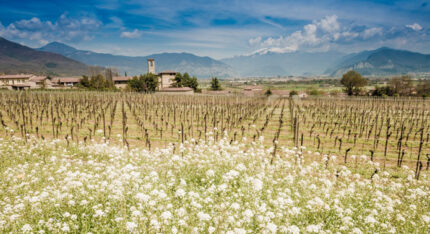 La Strada del Franciacorta