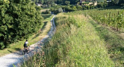 Da Rodengo Saiano tra le colline della Franciacorta