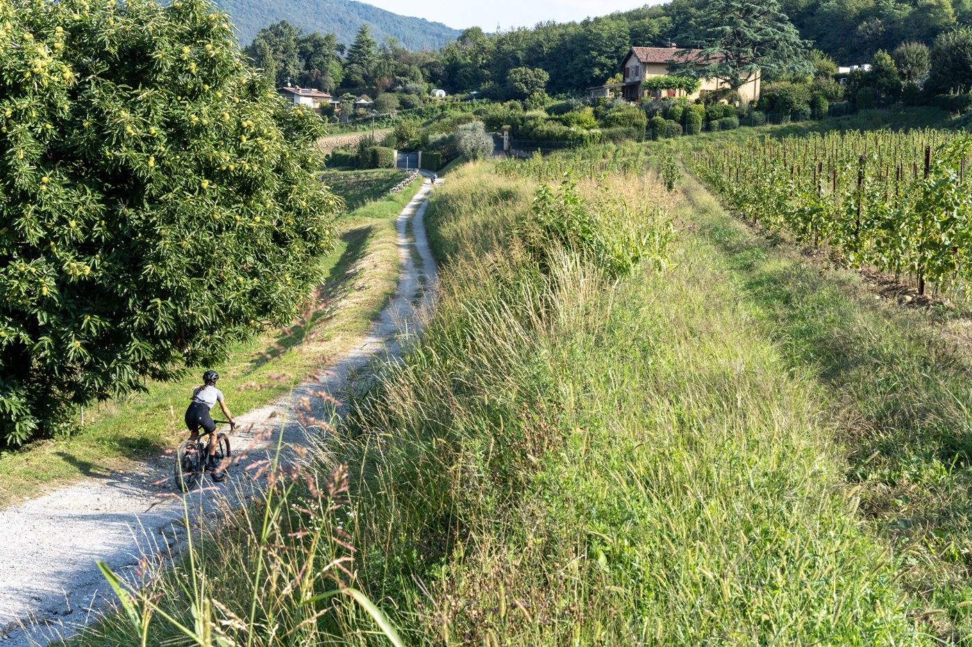 Da Rodengo Saiano tra le colline della Franciacorta