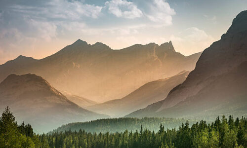 Mist rises over the forest in Banff National Park Alberta Canada