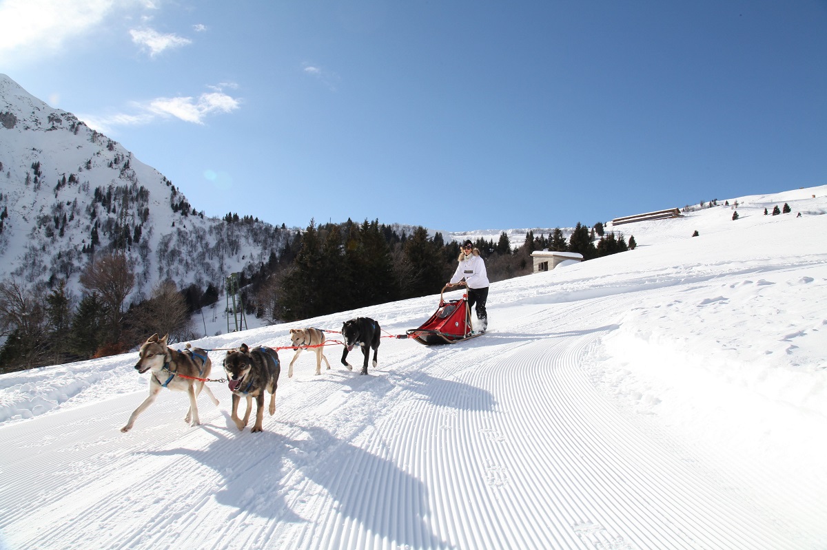 Maniva Sleddog