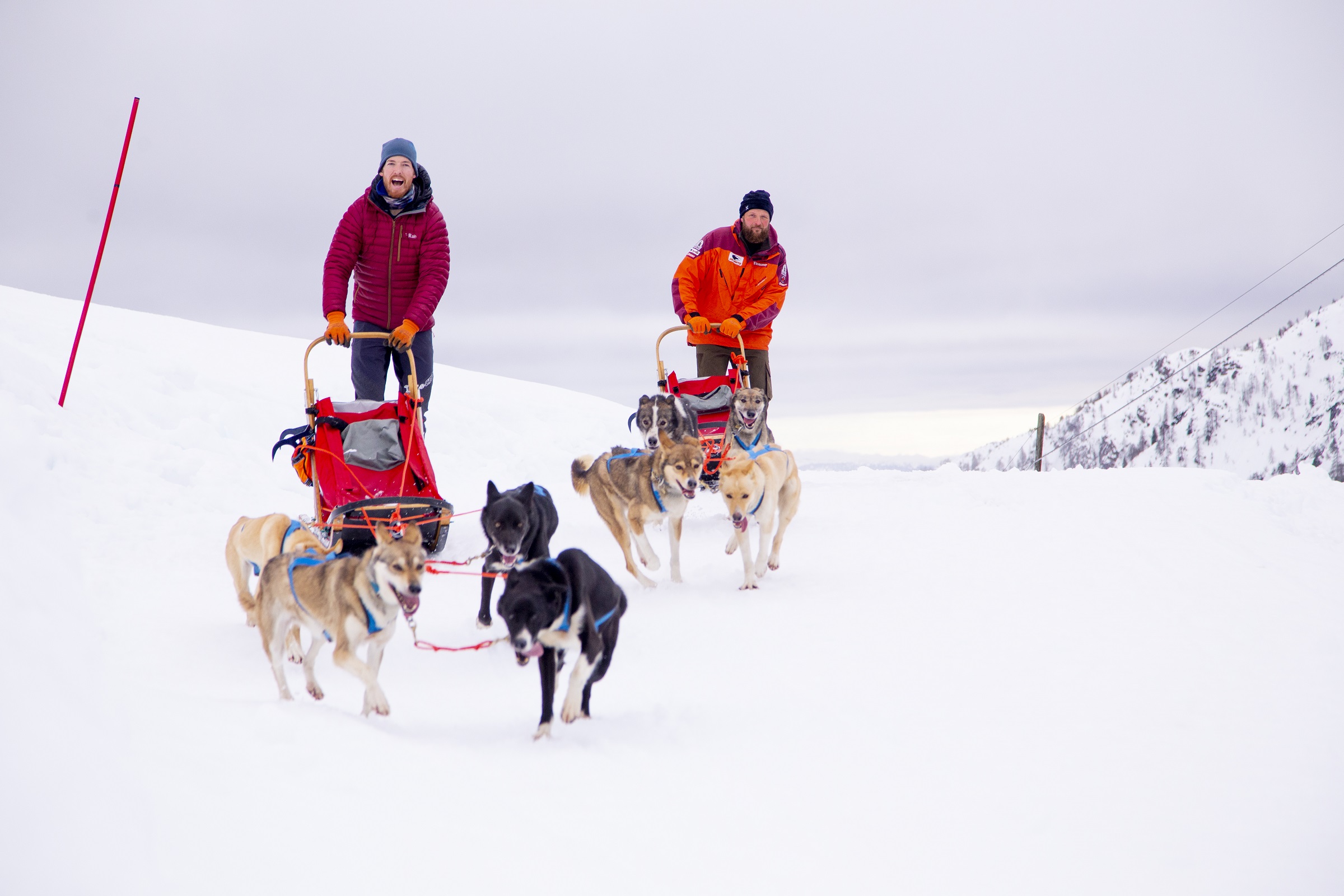 Maniva Sleddog