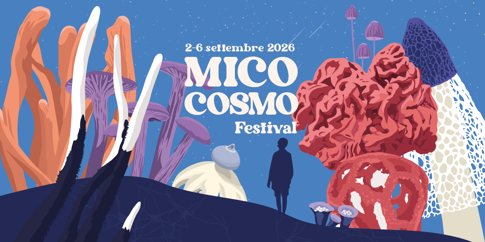 Mico Cosmo Festival