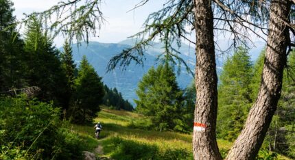 Cima Piz Tri in mountain bike