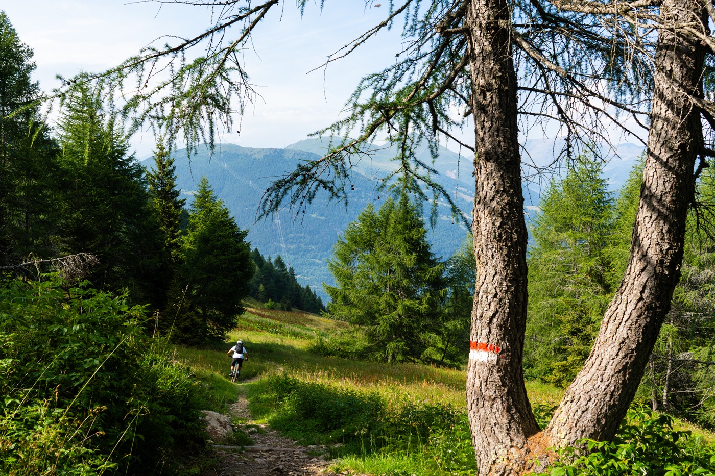 Cima Piz Tri in mountain bike