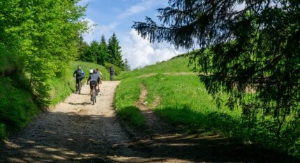 Ai Piedi del Monte Ario in MTB