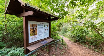 Parco delle Colline di Brescia