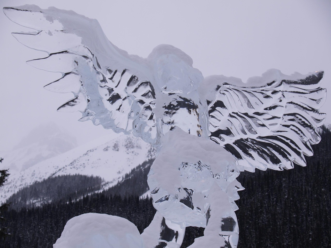 sculture ghiaccio temu