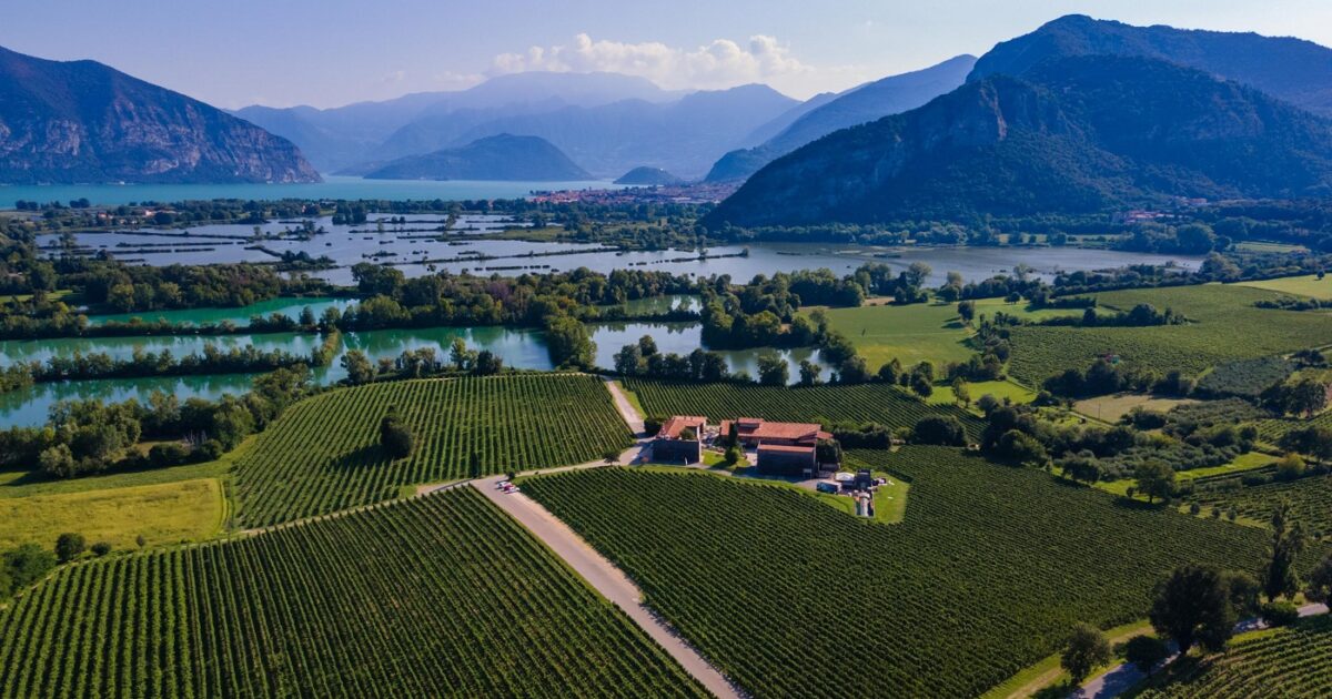 Torbiere del Sebino, vista dall'alto
