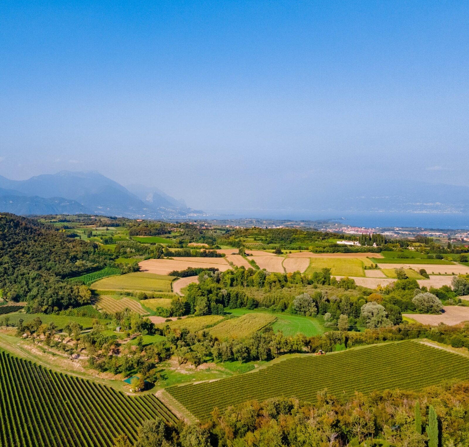Vini della Valtènesi, storia e sapori tra le colline del Garda