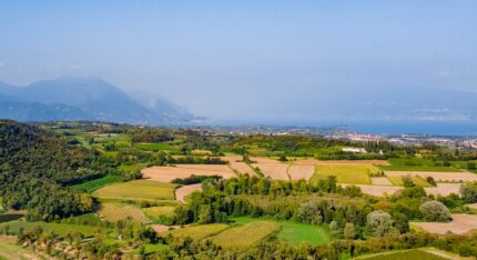 Vini della Valtènesi, storia e sapori tra le colline del Garda